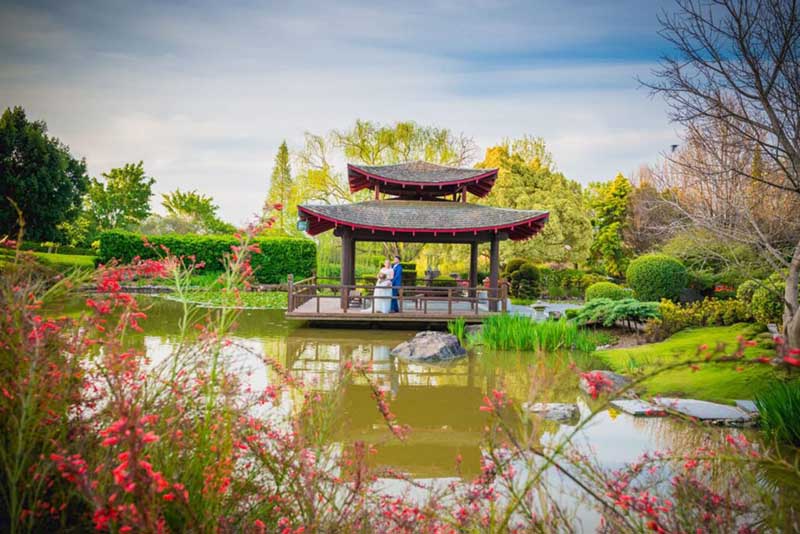 Hunter Valley gardens